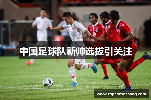 中国足球队新帅选拔引关注